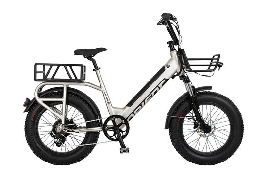 FAT BOY 20″