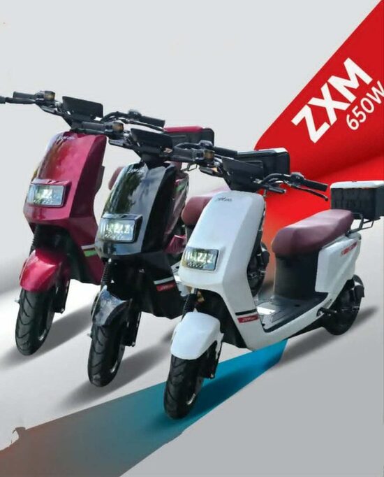 ΗΛΕΚΤΡΙΚΟ ΣΚΟΥΤΕΡ ZXM 650W 