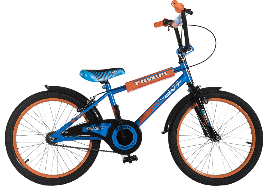 ORIENT TIGER 20″ BOY